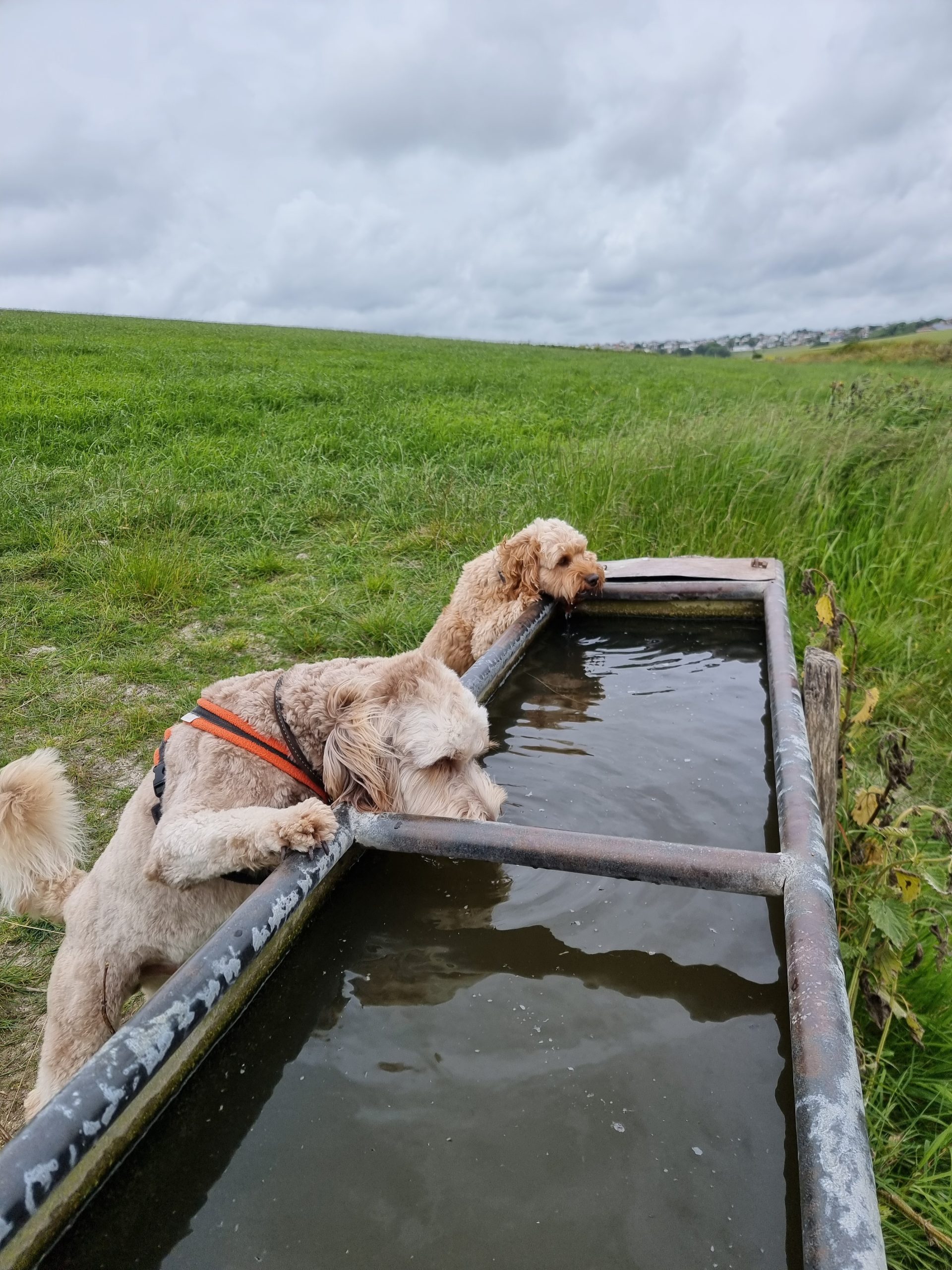 Water Break Time 